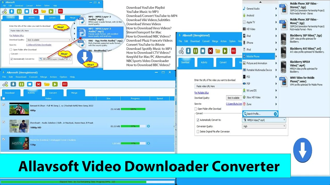 Allavsoft Video Downloader Converter 3.29.2.9659 Crack + Full Version
