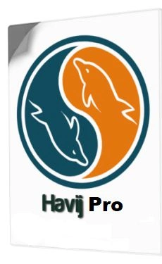 Havij Pro Crack