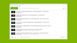 4k Video Downloader 4.33.5 ตัวเต็ม ดาวน์โหลด 2025