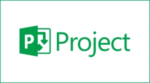 Microsoft Project Crack