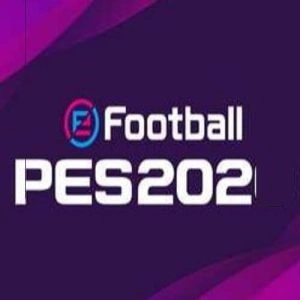 PES Crack