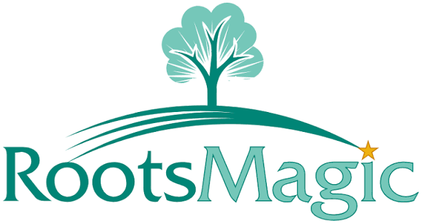 RootsMagic 10.1.1 Crack + Activation Key ดาวน์โหลดได้ตลอดชีพ